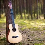 guitar-in-forest-2